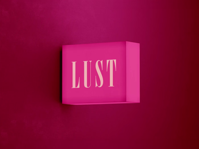 LUST Brand Identity and E-commerce Website Design