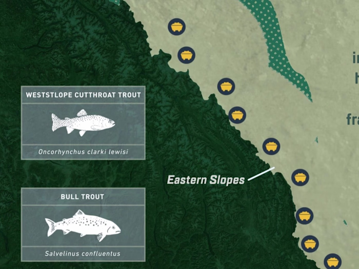 CPAWS - Awareness Campaign