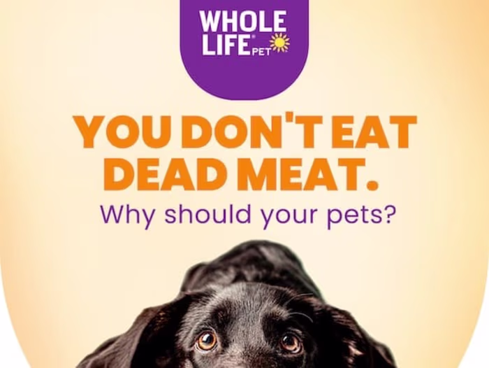 Ecommerce Email Marketing