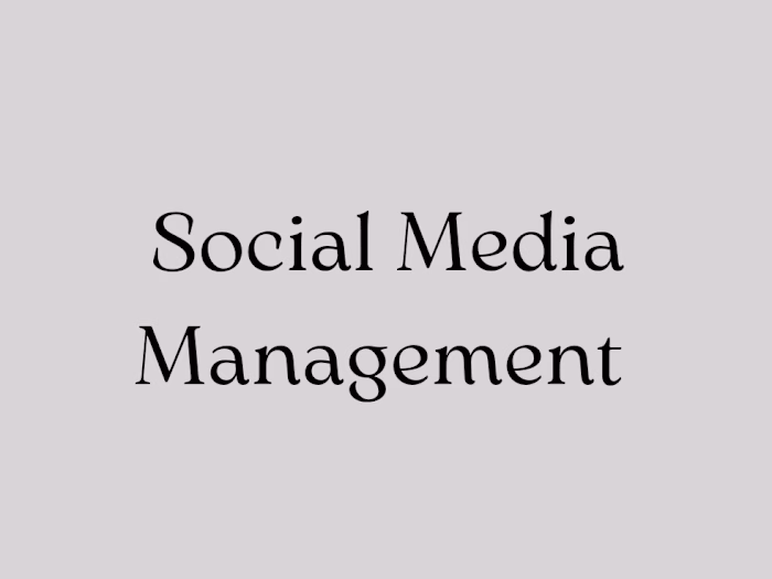 Social Media Management and Content Creation