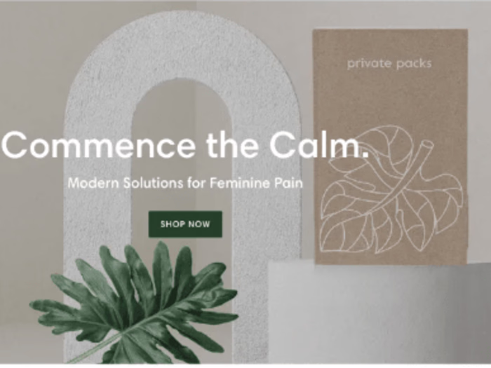 Private Packs pitch deck and fund raising guidance