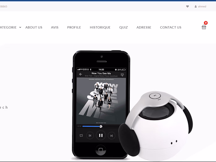 Rabiezouita11/ecommerce-angular13