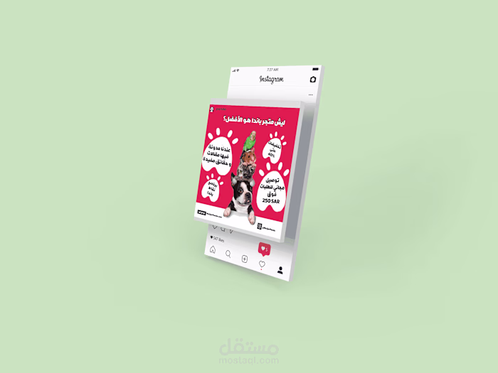 Social media posts for a Pet Store