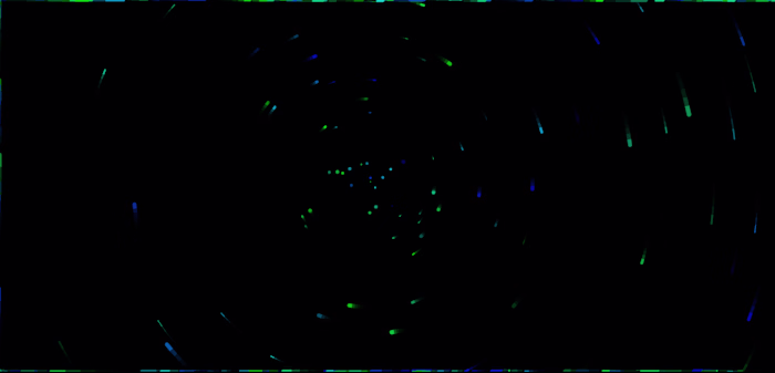 Particle Vortex: An Experimental Web Graphics Demo