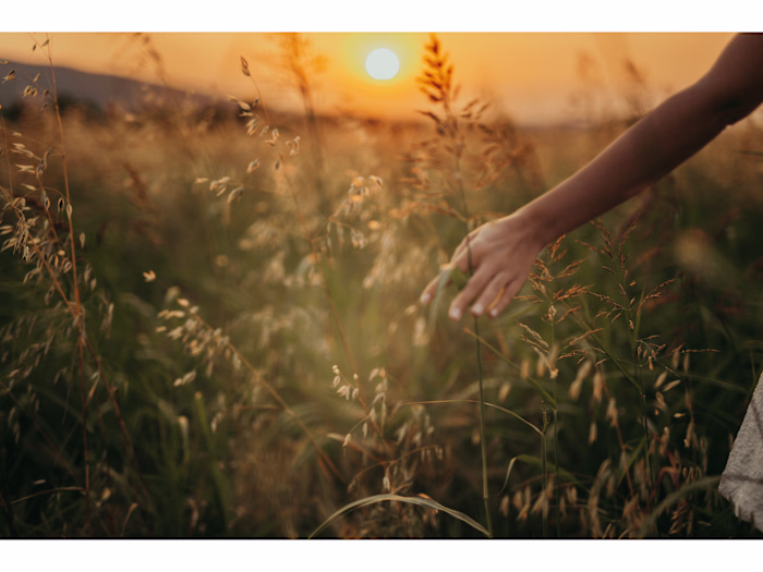 Self-Proclaimed Baddie Or Soft Girl? How to Romanticize Your Li…