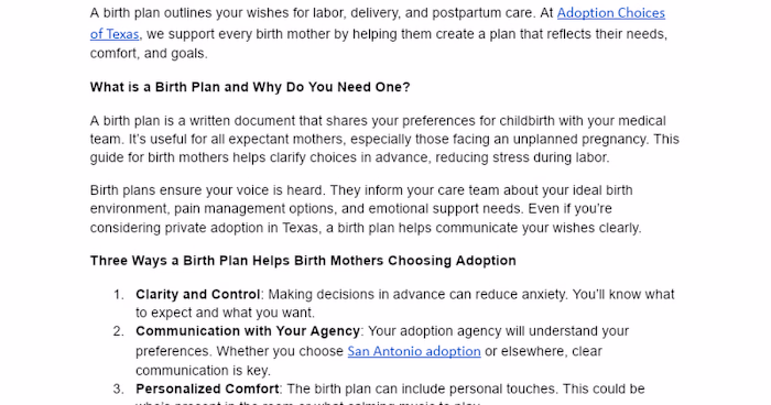 Empowering Birth Mothers with Personalized Birth Plans