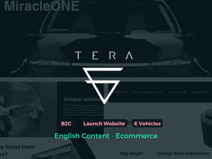 Tera Technologies: Launching an Electric Vehicle