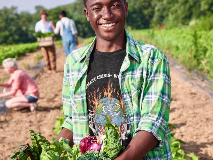 Education/Training Course Curriculum - Systems Thinking 