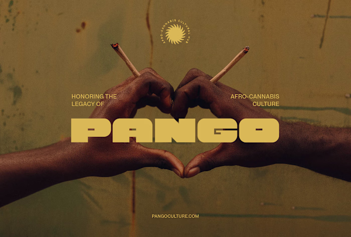 Brand Identity for Cannabis Media Hub