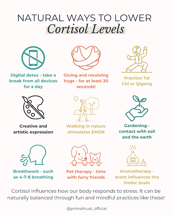 Infographic content for Social Media