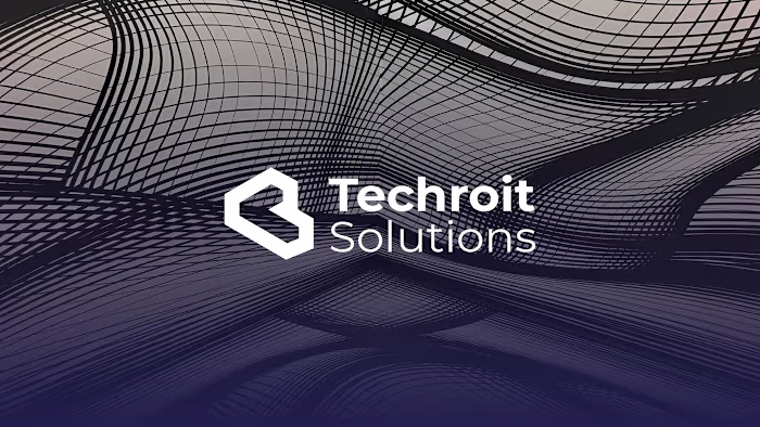 Techroit Solutions - Visual Identity