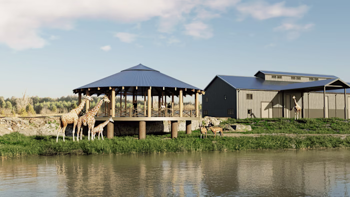 Giraffe Safari Park in Buffalo