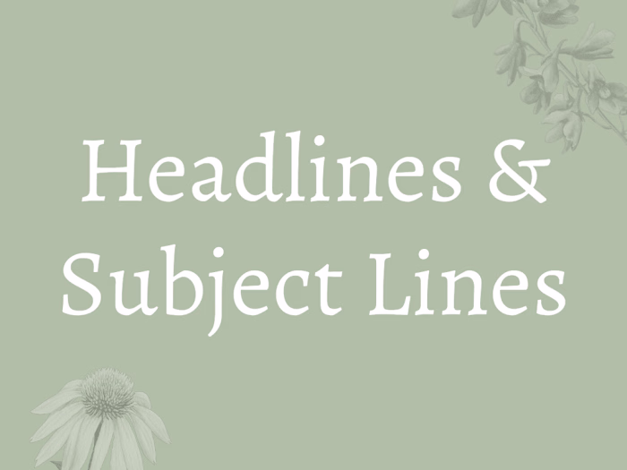 Headlines & Subject Lines