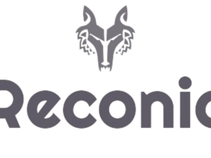 Reconic | All-in-One Reconnaissance Tool