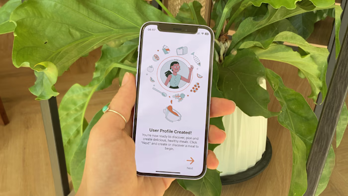 Mealll App Onboarding Illustrations