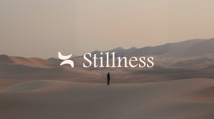 Logo, Branding & Web Design
This