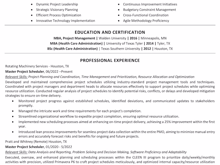 IT Project Manager