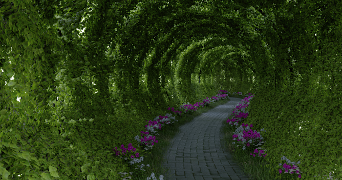 Nature's Corridor