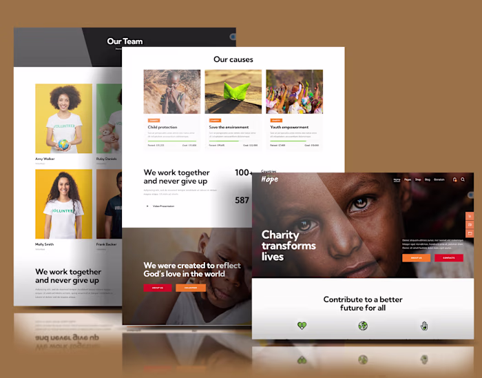 Non Profit Website | WordPress Website