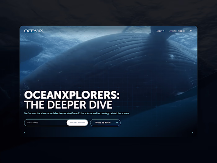 OceanX: A Deeper Dive (Web Design)