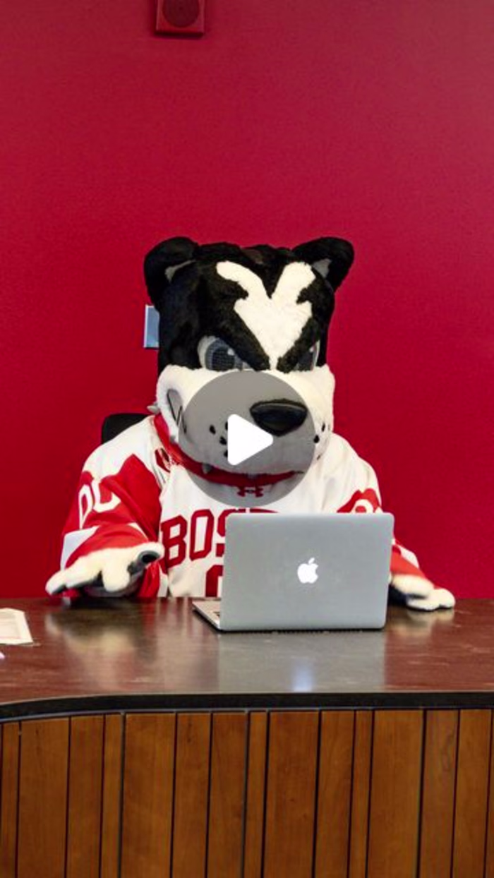 Boston University Undergraduate Admissions on Instagram: “It’s …