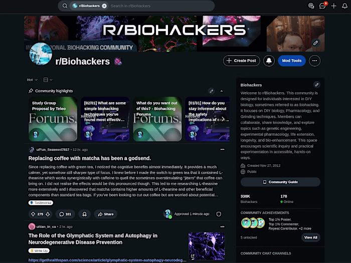 Ageless Network State - Network State/Community Creation