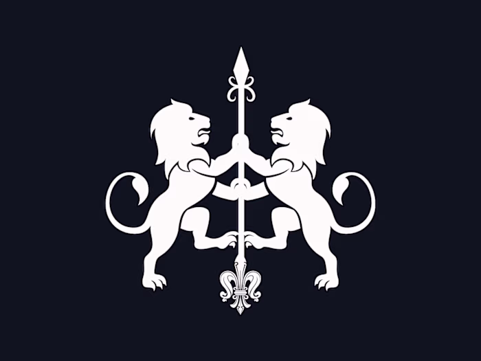 Black Silver Capital: Venture Capital Studio