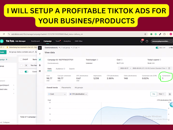 I will setup a profitable tiktok business products ads campaign