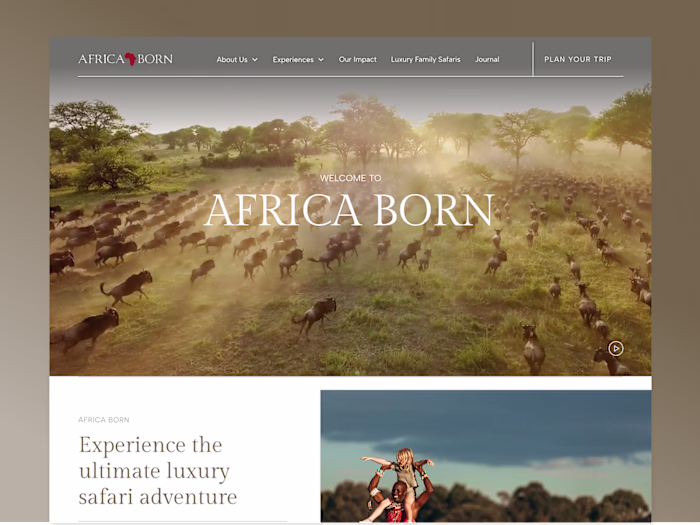 Luxury safari with an experience-first website