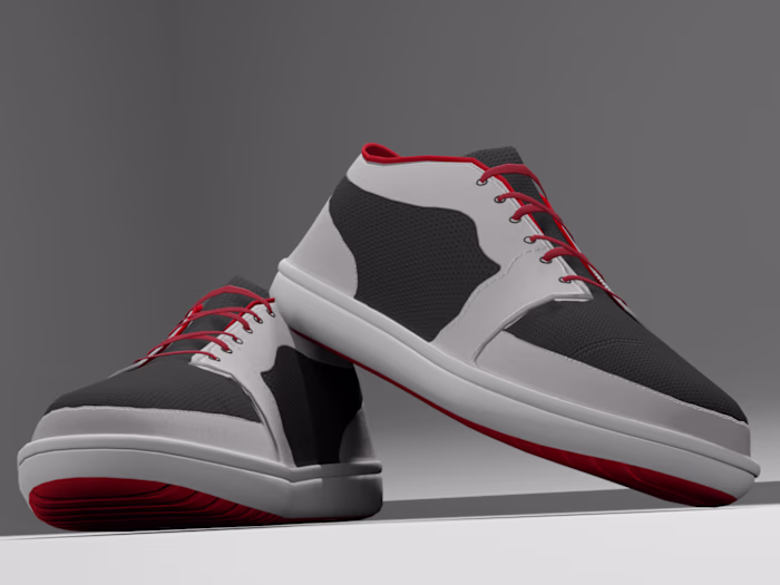 3D Shoe Model