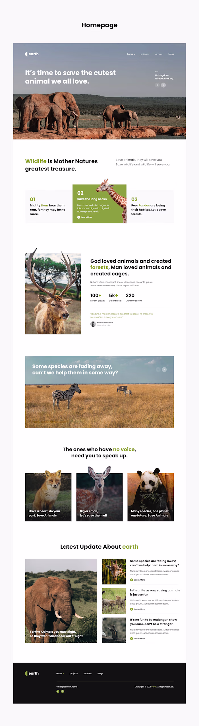 Earth - Save Wildlife Animals, Website UI Design