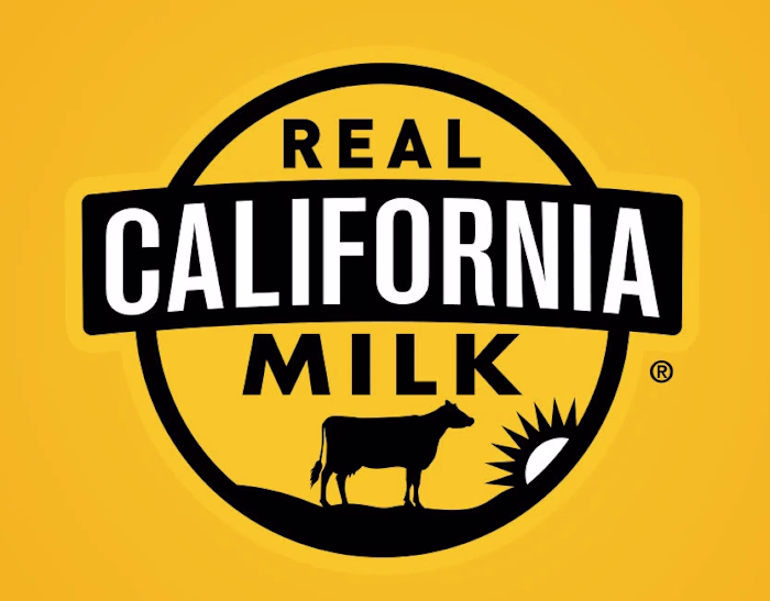 Logofolio 01 // Logo Design