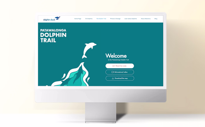 Wild Dolphins Conservation / 2023 / Atomix Project 