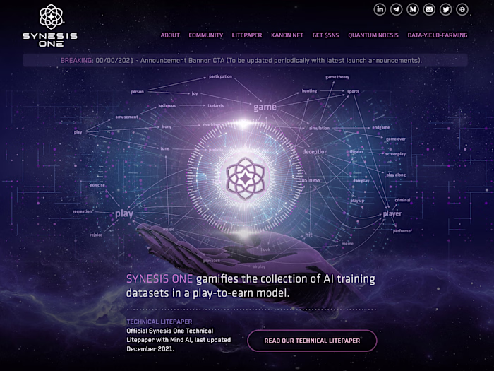 Synesis One Website Design