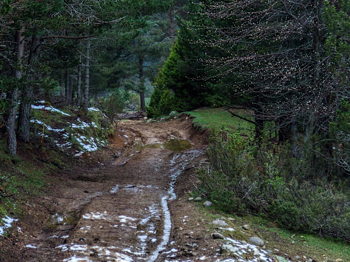 Leadership Coaching and Development Highlights