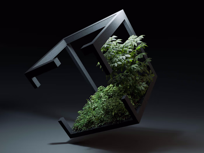 Songcover herbal Cube