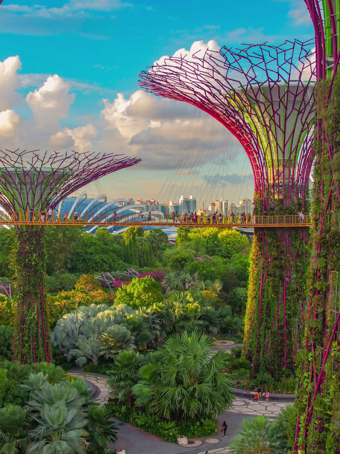 Adaptive Learning Systems, the Smart Learning Market, and Growth