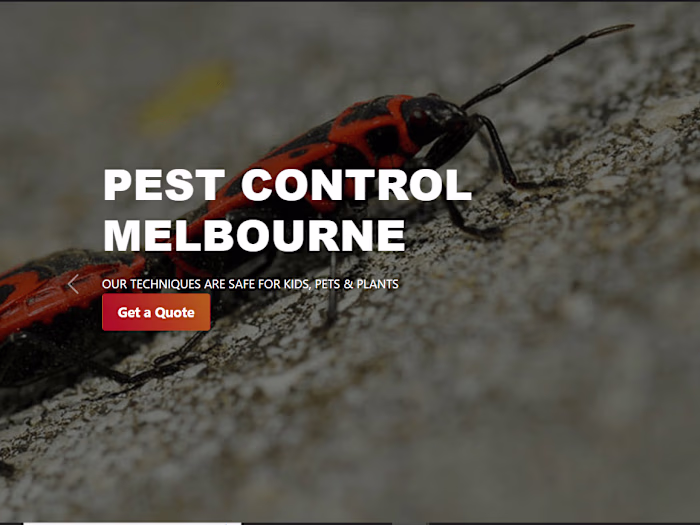 Pest Control Melbourne - Melbourne’s Best Pest Control Services