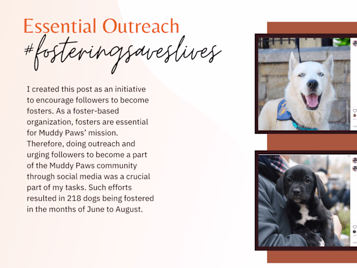 Muddy Paws Rescue Social Media Management
