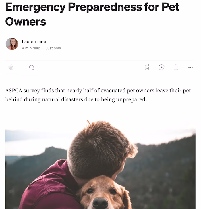 Medium Blog Articles