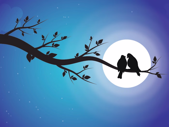 Moonlit Aviary Silhouette