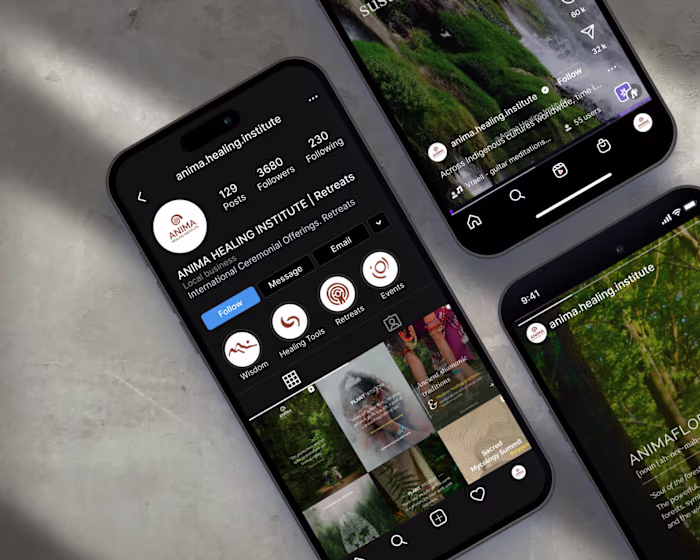 Anima Healing Institute - Rebranding and Content Strategy