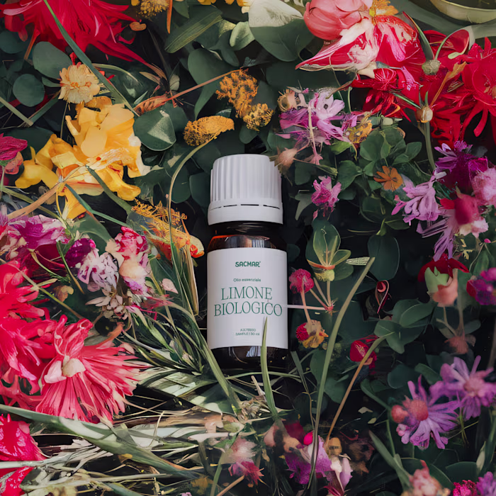 Sacmar Brand Identity and Digital Product Revamp