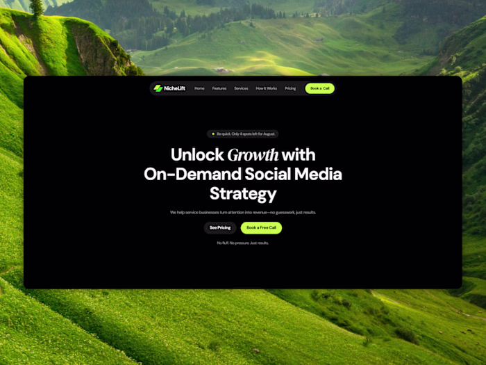  Marketing Agency Landing Page - NicheLift