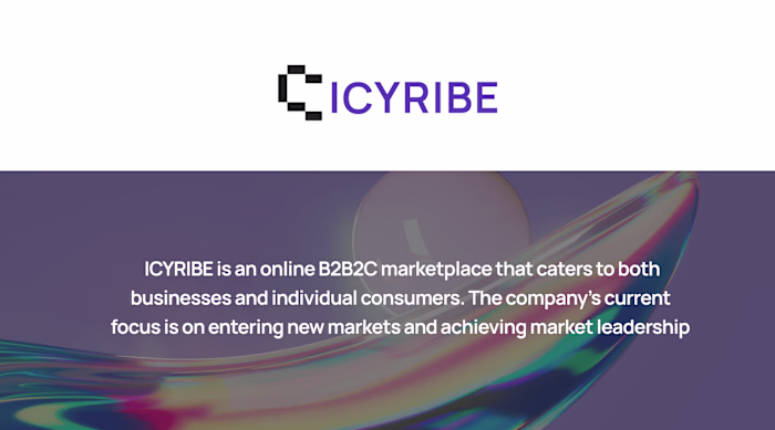 ICYRIBE’s New User Onboarding - A New Marketplace Platform
