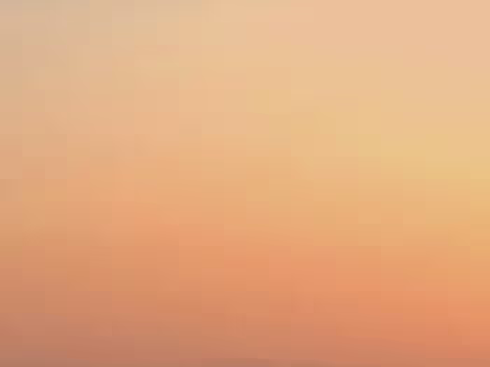 Graphic Design | Social Media Posts 