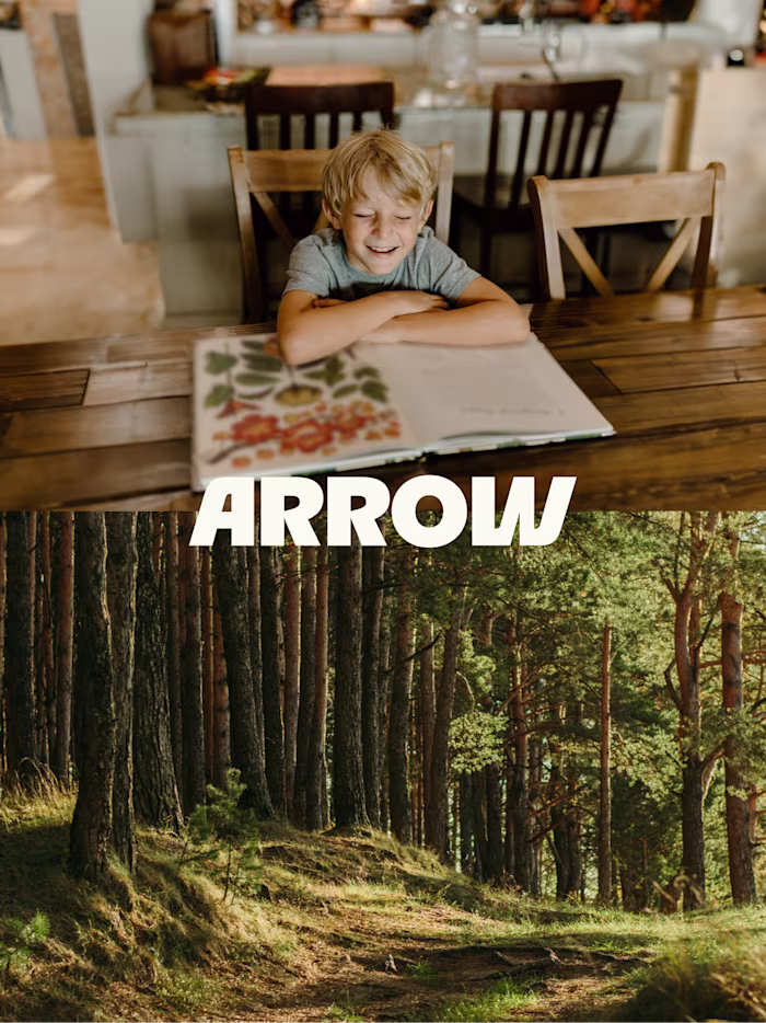 Arrow Logo Design