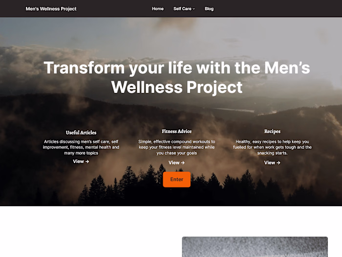 WordPress blog site development