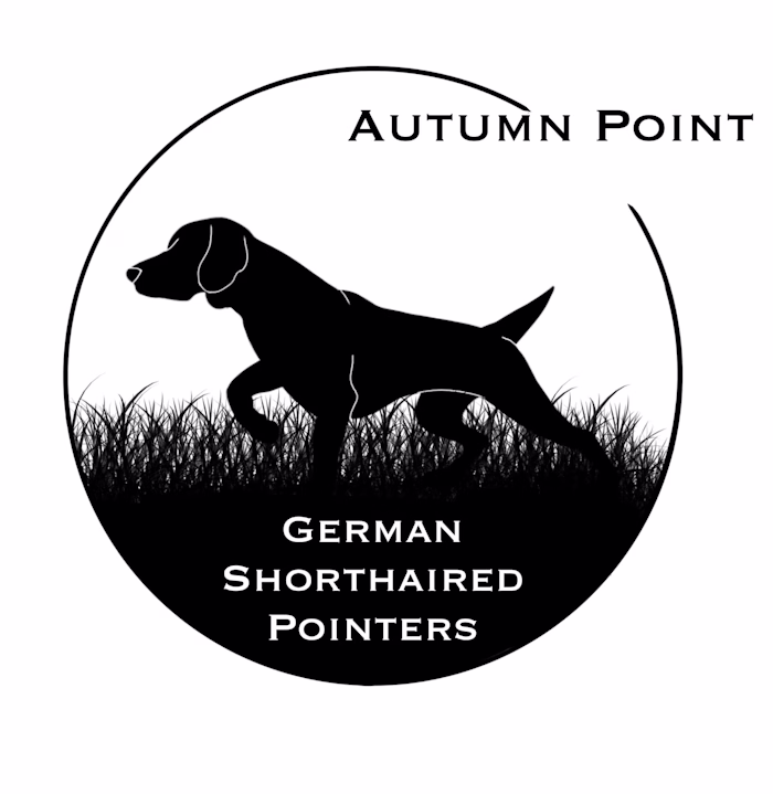 Autumn Point Logo