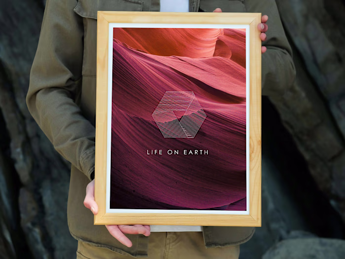 Comprehensive Branding Designs for launching musical bands